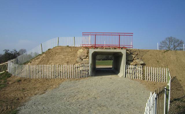 Romagné 2011 : J - 9
