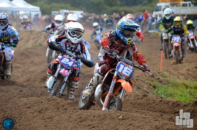 Rookie's Cup : la vidéo